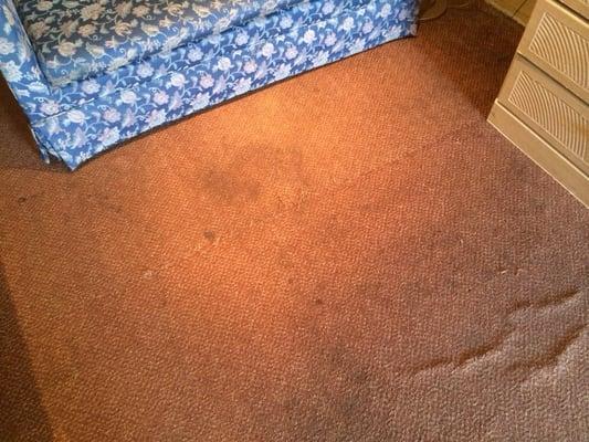 Gross carpet