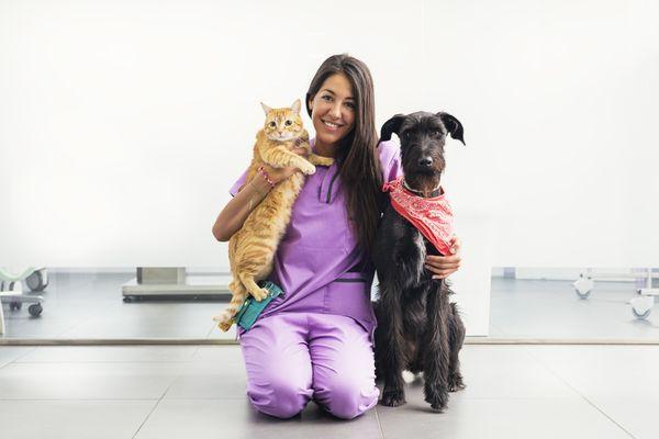 Quality veterinary care for every pet.