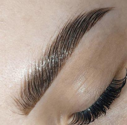 Brow lamination and lash extensions