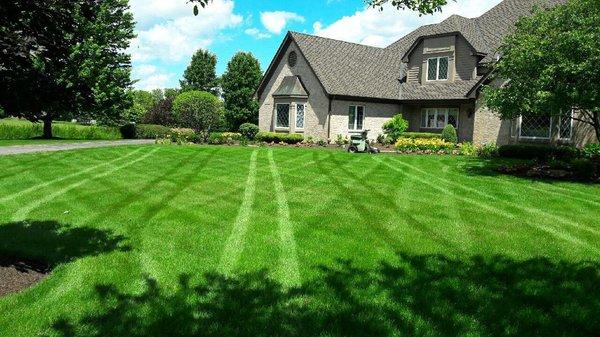 Weiss Lawn Care is still signing on new lawn care clients! Looking for a beautiful healthy lawn? Call us today for your free quote!