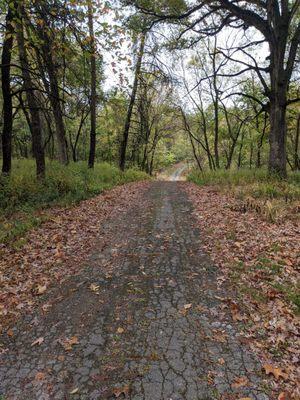 Part of the trail is paved, but not very much