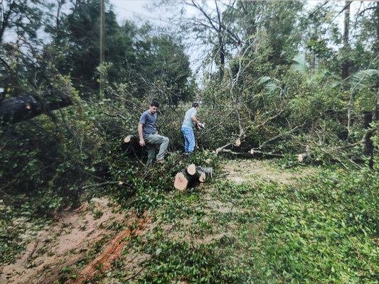 Debris Removal