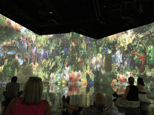 Immersive Monet