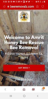 www.BeeRemovalz.com