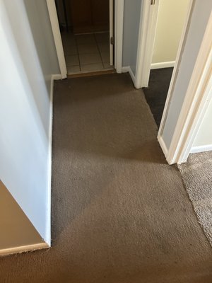 Carpet cleaning