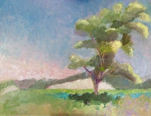 A tree on the Moors, Provincetown, MA.   12x16 oil on panel