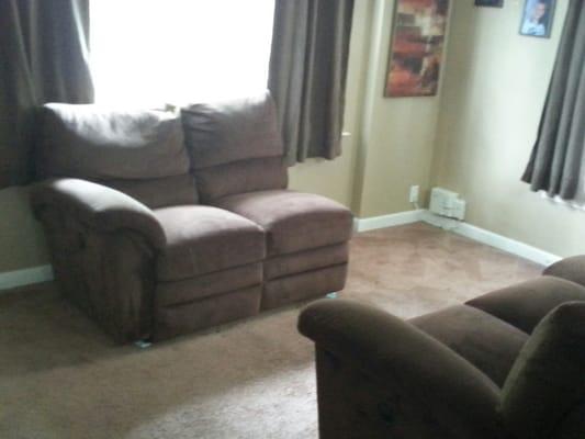 Rug and sectional all clean!