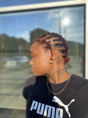 Starter locs