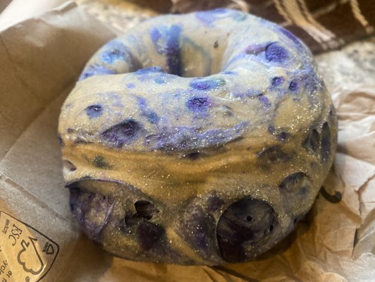 Blueberry Bagel