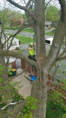 Officer manager/CFO/Wife and now learning to climb.