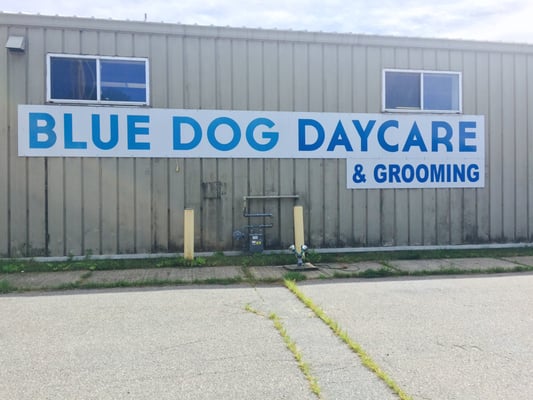 Blue Dog Daycare