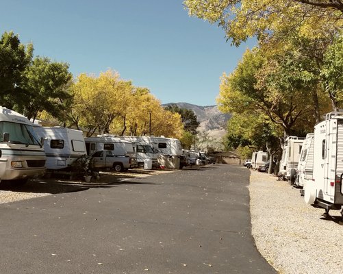 They did have lots of shade trees but that was the extent o landscaping.