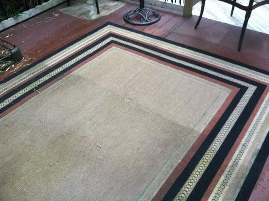 This outdoor rug was stained and mildewed. It came out looking brand new!