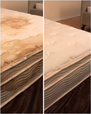 Mattress steam cleaning services provided by GoSteamClean