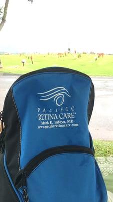 This bag was won a few years back at the American Diabetes Association Walk - my coworker had this on our table at hawaiian memorial