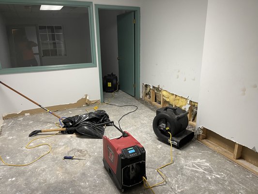 Water damage cleanup