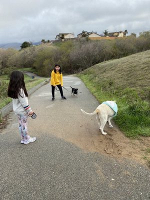 Nelly is a great walk companion to Addie, he takes it nice and slow the way she likes it. :)