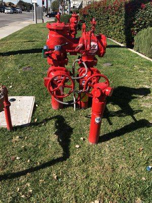 New Backflow and fire department connection