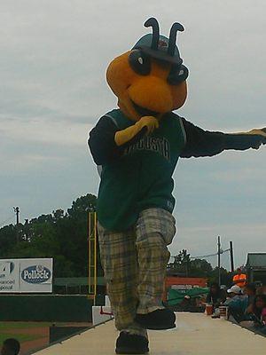 Auggie the mascot