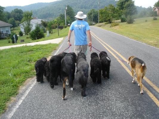 Boarding in our home makes for happy doggies :)