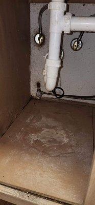 These are some of the pictures showing the condition of appliances, cabinets , mold under sink