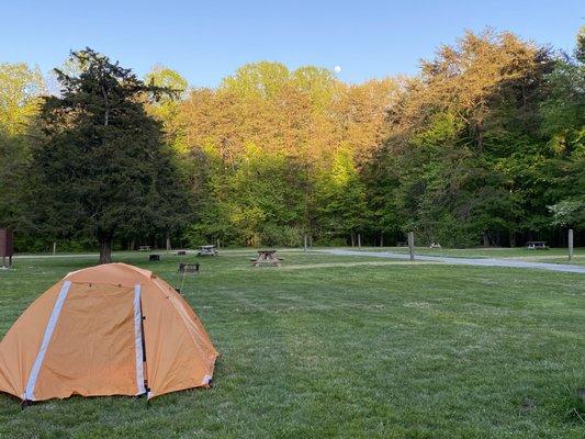 Our tent at Sunny Acres in evening.