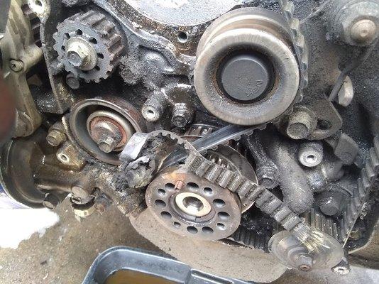 Timing belt had been broken off/ripped.