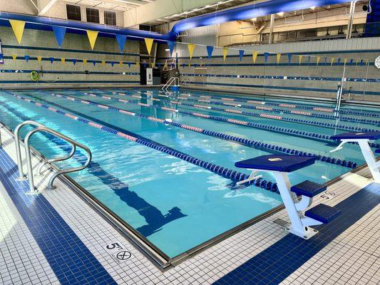 A large two-sided viewing area overlooks the pool for parents to watch practice.