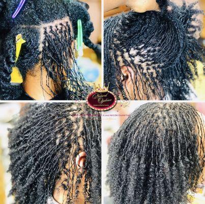 My Signature Queen Micro Locs