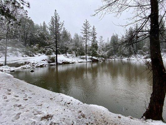 View of the fishing pond