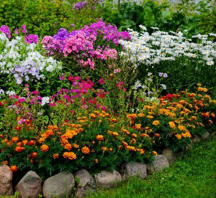 Top 3 flowers that grow well in Utah.

1. Strawberry Seduction Yarrow

2. Corkscrew Ornamental Onion

3. John Cabot Rose