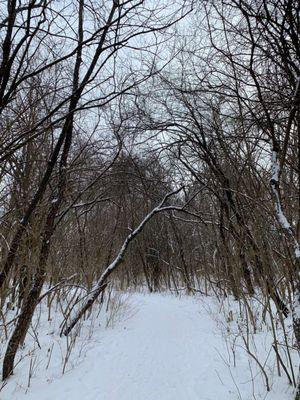 Gallup Park