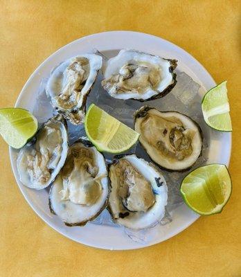 Oysters