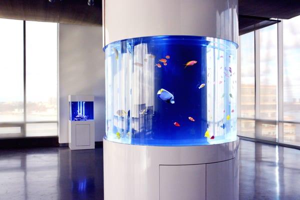 Aquarium Rentals for Events