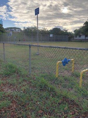 Ball up @ Peter Buck Park KALIHI *5/23/2020