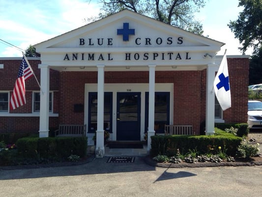 Blue Cross Animal Hospital  Est.1952