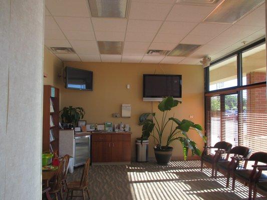 Relaxing Dental Waiting Area.