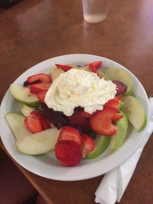 Freshly cut fruit salad with amazing whipped cream.