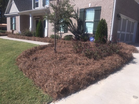 3 D Pine Straw Installation