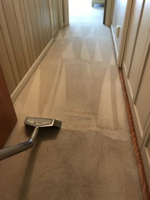 Residential Carpet Cleaning