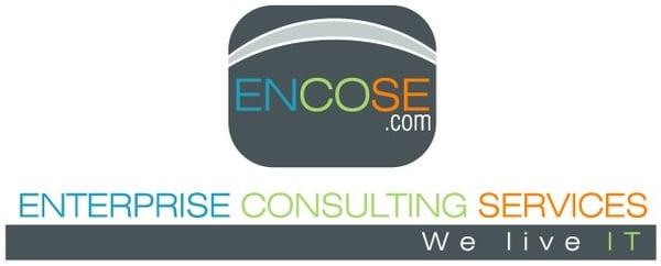 Enterprise Consulting Services