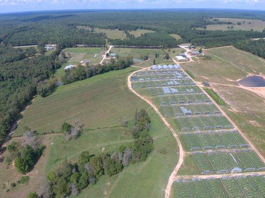 Our 133 acre farm is 10 minutes off the Natchez Trace