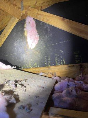 Destroyed attic & insulation