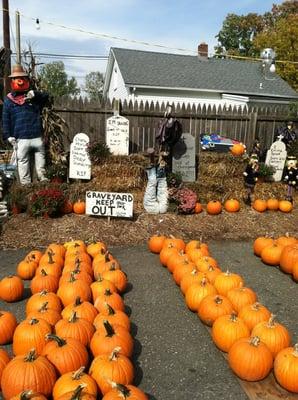 Halloween time at the farm