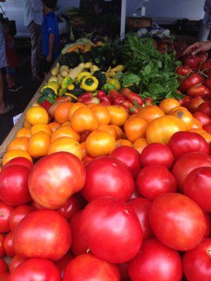 Fresh Tomatoes!