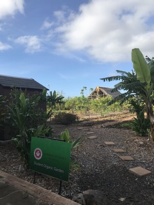 uHwO Organic Garden on campus