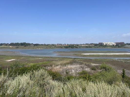 Wetlands