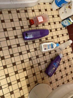 They threw all my shower toiletries on the floor with the dirt all over it. Which is actually overly disgusting. I am mortified about this.