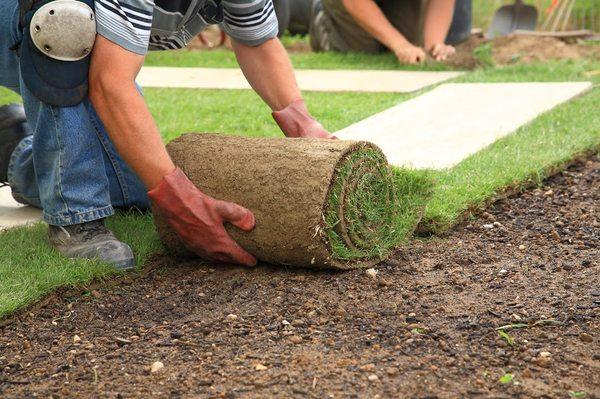 Landscaping Installation