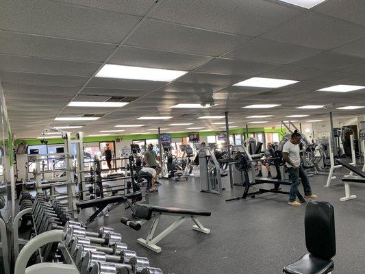 Thrive Fitness - Partial view of the gym floor